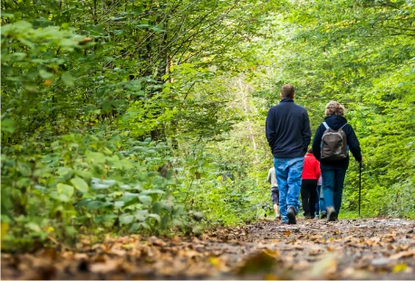 balade en nature dans le Loir-et-Cher en sologne 41